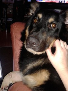 15073_560532043973766_1404171506_n