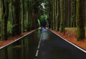 tumblr_mcpwzaeUME1qzhjh2o1_500