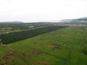 Гороховое поле Гороховое поле
