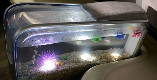 5448-1421317379-v-detroyt-priehal-kitayskiy-gac-witstar-s-akvariumom-v-salone