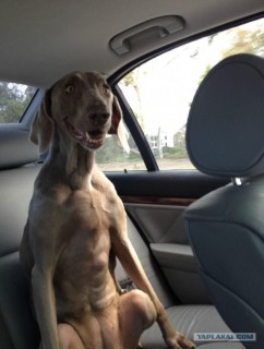 post-3-13457962878827