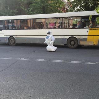 13385609_277327392617481_1474078182_n