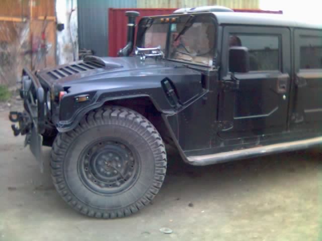 gallery_458_10_23863.jpg