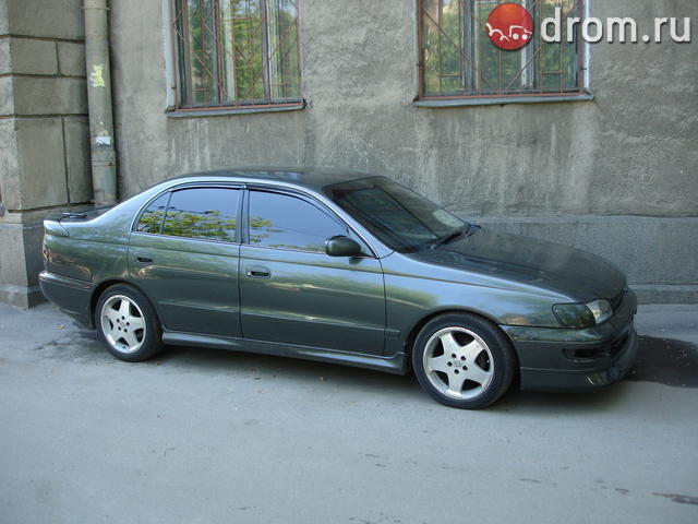 gallery_70_7_45516.jpg