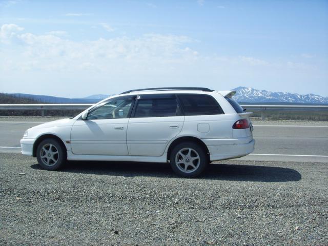 gallery_18_6_63059.jpg