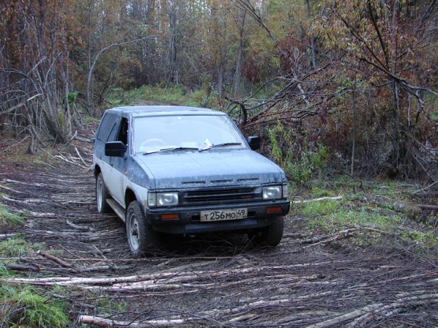 gallery_587_42_564500.jpg