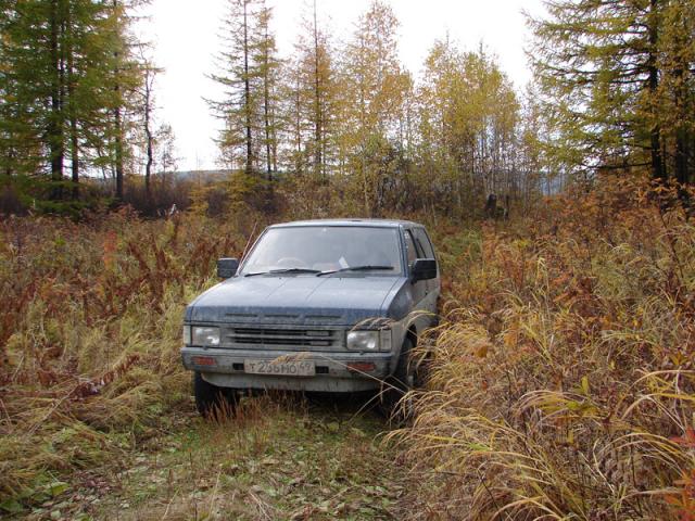 gallery_587_42_735209.jpg
