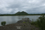 tn_gallery_143_70_732534.gif