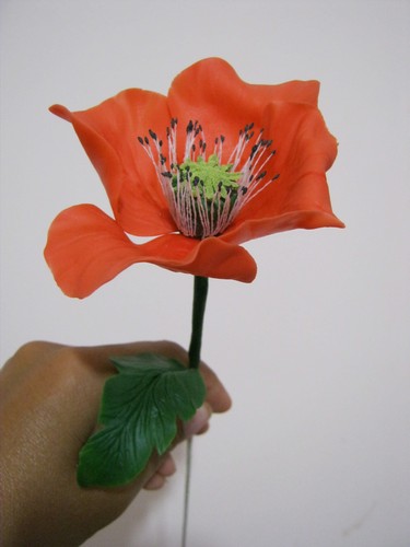 gallery_37_362_37421.jpg