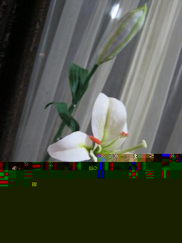gallery_37_362_39858.jpg