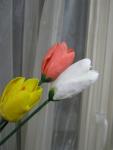 tn_gallery_37_362_18824.jpg