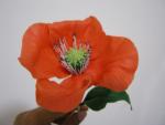 tn_gallery_37_362_20615.jpg