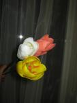 tn_gallery_37_362_26861.jpg