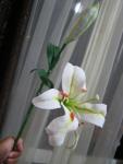 tn_gallery_37_362_39858.jpg