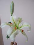 tn_gallery_37_362_8175.jpg