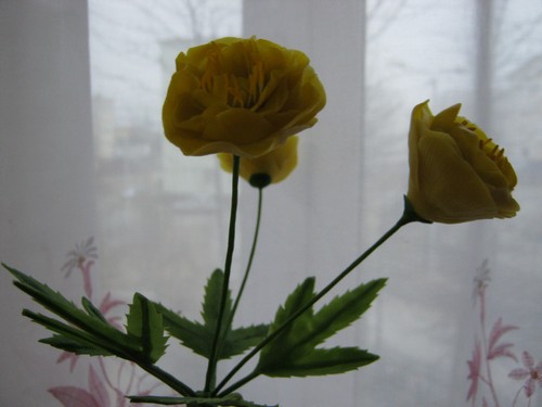 gallery_37_362_29992.jpg