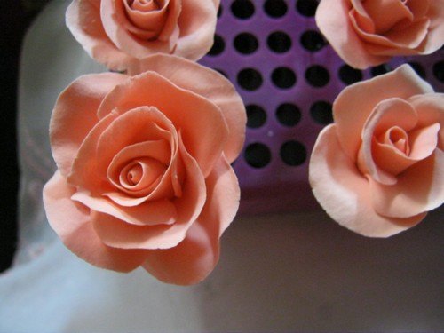 gallery_37_362_3050.jpg