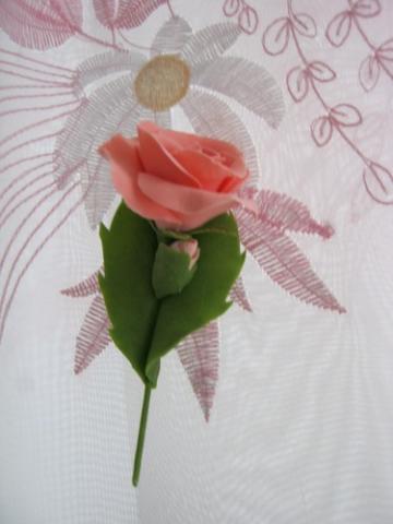 gallery_37_362_14283.jpg