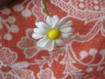 tn_gallery_37_362_138.jpg