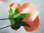 tn_gallery_37_362_22670.jpg