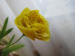 tn_gallery_37_362_23918.jpg