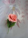 tn_gallery_37_362_27427.jpg