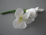 tn_gallery_37_362_3028.jpg