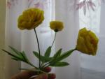 tn_gallery_37_362_32943.jpg