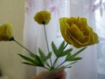 tn_gallery_37_362_38603.jpg
