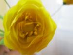 tn_gallery_37_362_39745.jpg