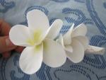 tn_gallery_37_362_39877.jpg