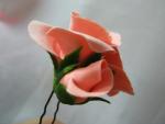 tn_gallery_37_362_412287.jpg