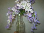 tn_gallery_37_362_42174.jpg