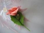 tn_gallery_37_362_6458.jpg