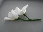 tn_gallery_37_362_6714.jpg