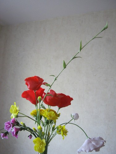 gallery_37_362_13577.jpg