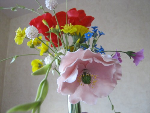 gallery_37_362_28378.jpg