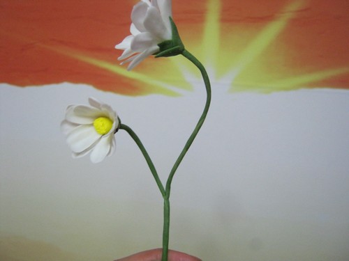 gallery_37_362_8730.jpg