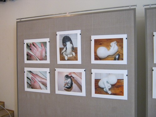 gallery_37_688_132.jpg