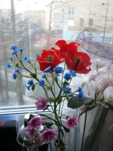 gallery_37_362_64125.jpg