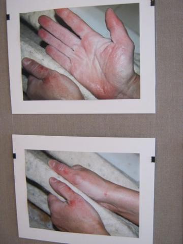 gallery_37_688_25038.jpg