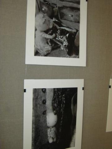 gallery_37_688_46690.jpg