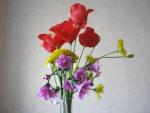 tn_gallery_37_362_16135.jpg