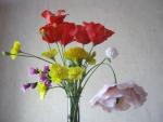 tn_gallery_37_362_21655.jpg