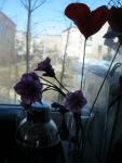 tn_gallery_37_362_22132.jpg