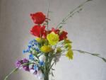 tn_gallery_37_362_25898.jpg