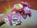 tn_gallery_37_362_28148.jpg