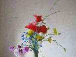 tn_gallery_37_362_29468.jpg