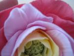 tn_gallery_37_362_3527.jpg