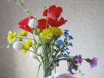 tn_gallery_37_362_35574.jpg